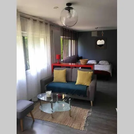 Lägenhet Bel En Rez De Jardin, 10min Centre Et 300m Quais De Seine Wifi *